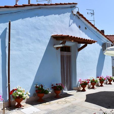 Villino La Perla Azzurra- Marina Di Pisa Villa Exteriör bild