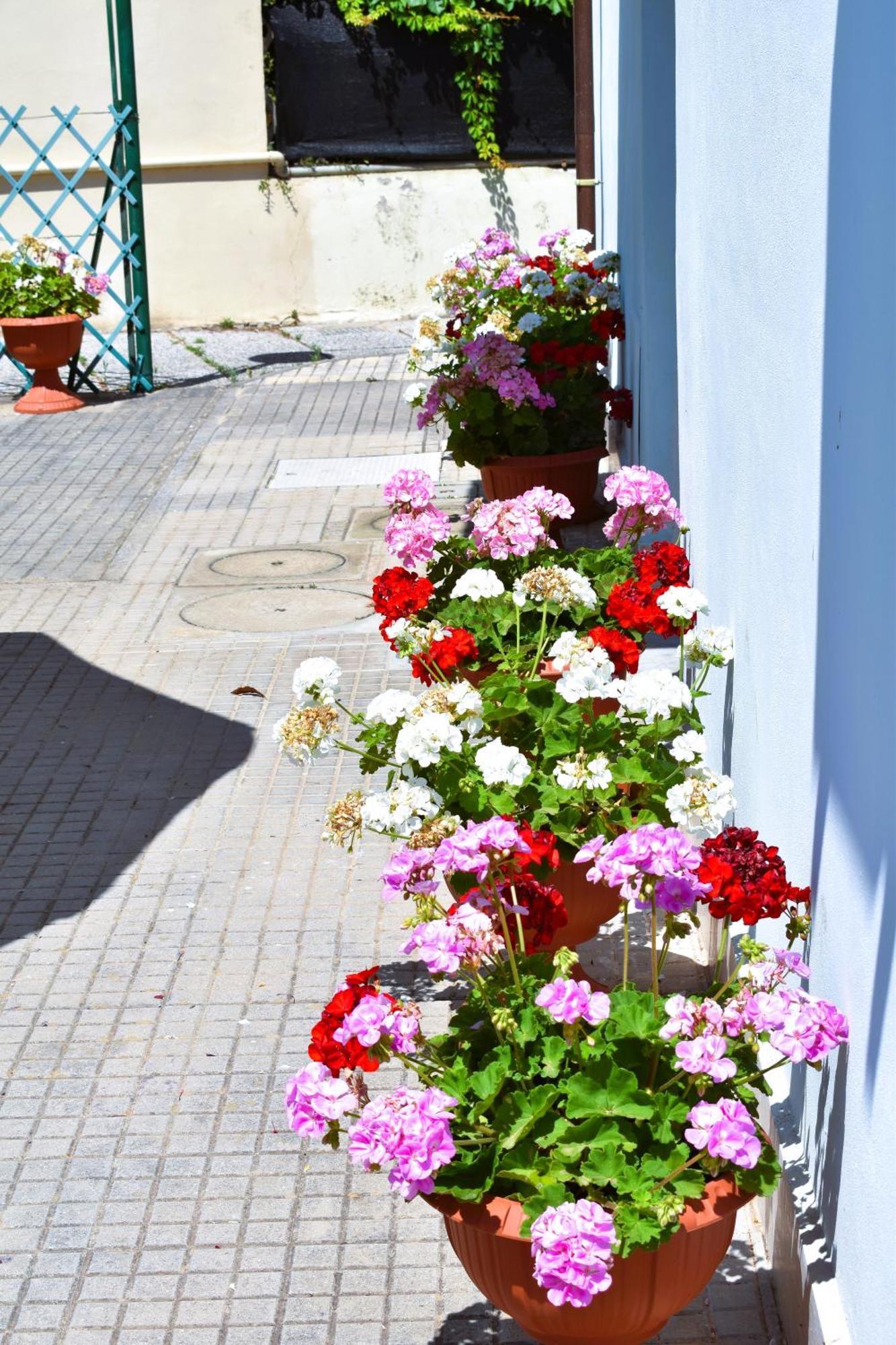 Villino La Perla Azzurra- Marina Di Pisa Villa Exteriör bild